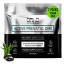 Orlo PRENATAL DHA - Prenatal DHA 오메가 3 보충 - 트리플 힘 Omega3s - Vegan DHA & EPA 조류 오메가-3 기름 - 임신 중 뇌 발달 지원 (120 소형 Softgels)