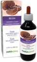 Naturalma Reishi (Ganoderma lucidum) Fungus 또는 Mushroom Alcohol-Free Tincture - 6.76 fl oz Liquid Extract in Drops - 초본 보충 - Vegan