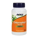 지금 음식 Chlorophyll 100 mg 모자, 90 ct