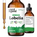 야생 & 유기 Lobelia Tincture - Lung Detox 및 Cleanse - 액체 Lobelia 허브 보충 - 채식, 설탕 및 알코올 무료 잎 추출물 드롭 - 4 fl oz