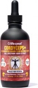 Life Cykel Cordyceps Mushroom Extract with Kakadu Plum - 에너지, 체력 및 활력 지원, 자연 노화 보충 - 비 GMO 및 Vegan Tincture - 4Fl Oz