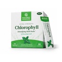 Nature's Sunshine Chlorophyll Stick Packs : Detox 및 Boost Gut Health를 편리하게 충전하고 맛있는 스틱 팩 (Spearmint)