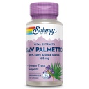 SOLARAY Saw Palmetto Extract - 전립선 건강 및 유린 궤적 지원 - 136 mg 지방산 및 스테롤 - 실험실 검증, 60 일 환불 보증 (120 서빙, 120 Softgels)