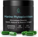 해양 Phytoplankton 캡슐 Holistic Bin | 자연적으로 Nordic Seawater에서 성장 | Vegan Omega 3 Supplement | 아미노산, Chlorophyll, 비타민, Trace Minerals에 풍부한