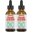 Liposomal 글루타티온 액체 2000MG – 여자 & 남자를 위한 산화 Detox 보충교재, 노화 방어, 간기능 & 에너지, Hyaluronic 산 + 알로에 Vera + 비타민 C, 자연적인 & Vegan, 4 FL.OZ