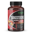 Ultra Turkesterone Ajuga Turkestanica 표준화 된 20 % Turkesterone Maca 루트 Tribulus Terrestris와 높은 효능 - 근육 성장 에너지 기억 지원