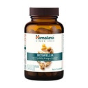 히말라야 Boswellia, Mobility 및 Flexibility를 위한 합동 지원은, 티슈 보존, 250 mg의 60의 캡슐을 승진시킵니다
