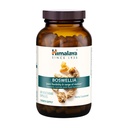 히말라야 Boswellia, Mobility 및 Flexibility를 위한 합동 지원은, 티슈 보존, 250 mg, 240의 캡슐을 승진시킵니다