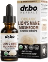 Lions Mane Mushroom Supplement Drops - 유기 사자 Mane Mushroom Liquid Tincture for Focus, Fog Brain Health Supplements - Vegan Herbal Nervine Nootropic Organic Lions 액체 보충 추출물 1oz