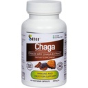 Sayan Siberian Chaga 버섯 추출물 - 90 캡슐 / 420mg ea - 자연 및 야생 - 해적 항 산화 보충 - 면역 시스템 지원 및 신체 기능을 규제 - Vegan, Non-GMO, 필러 또는 첨가제