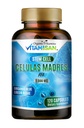 Celulas Madres AFA 줄기 자연적인 세포 120의 캡슐 1000 mg 파란 녹색 조류 비 GMO 글루텐 자유로운 Aphanizomenon Flos aquae celula 광부 suplement