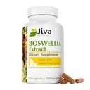 Jiva Botanicals Boswellia 추출물 캡슐 700mg 당 서빙 - Boswellia Serrata 추출물 보충교재 & 까만 고추 - 정상적인 합동 건강을 위한 합동 지원 보충교재 - 120의 캡슐 (포장 1)