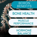 보론 미네랄 보충 - 30mg | 60 Count | Trace Minerals Your Body Needs to keep Optimal Health and Wellness.
