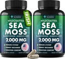 Sea Moss 캡슐 - 아일랜드어 Sea Moss Burdock 뿌리, Bladderwrack & Muira Puama Immunity, Gut, & Energy - Superfood Sea Moss 보충제 w / Raw Sea Moss 파우더 (2 팩)