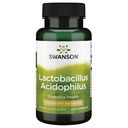 Swanson Lactobacillus Acidophilus 2 억 Cfu 100 캡슐