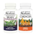 MycoBotanicals Brain* Capsules, 60 Count & Cordyceps Capsules, 60 Count - Support Memory & Focus - Immune Health & Energy* 지원