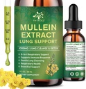 (2 팩) 6 Lungs, Lungs, Detox Cleanse & Respiratory for Breathing Health, Mullein Oil Supplement Immune Support, Vegan, 1 Fl Oz