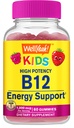 WellYeah 비타민 B12 아이들을위한 Gummies - 부스트 에너지, 두뇌 기능을 개선하고 면역 체계를 강화하십시오 - 비 GMO, 글루텐 - 무료 - 훌륭한 맛 - Chew - 60 Gummies