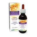 Naturalma Cordyceps (Cordyceps sinensis) Fungus 또는 Mushroom Alcohol-Free Tincture - 드롭 4 fl oz 액체 추출물 - 초본 보충 - Vegan