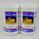 SU-PER Mag Pro Horse Calming 보충교재 - 지원 정상적인 행동 & Calming 효력 - 말을 위한 마그네슘 보충교재 - 4 파운드, (2 팩)
