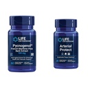 수명 연장 Pycnogenol 프랑스 해상 소나무 껍질 & Gotu Kola 동맥 건강 보조 식품 - 60 & 30 채식 캡슐