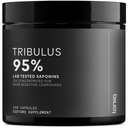 남성을 위한 Tribulus Terrestris - 95% Saponins를 가진 매우 높은 힘 25:1 추출물 - 1300mg 순수한 & 집중된 공식 - 순수성 & 질을 위해 시험되는 제 3 부 실험실 - 240의 캡슐