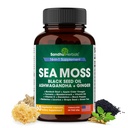 SANDHUHERBALS Sea Moss 캡슐 블랙 씨 오일 Ashwagandha Ginger Burdock 뿌리 | 고급 Seamoss 60 카운트 | 모든 남성 여성 연령