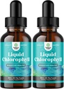 민트 맛 Chlorophyll 액체 드롭 - 면역 지원 Gut 건강 피부 관리 Detox Liver 지원 에너지 및 나쁜 호흡을위한 Vegan 액체 Chlorophyll 드롭 - 높은 효능 내부 탈취제 - 2 팩