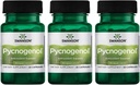 Swanson Pycnogenol 100 밀리그램 30 캡슐 3 팩