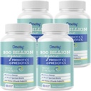 여성과 남성을위한 프로 바이오 틱스, 300 억 CFU 24 Strains Probiotics + 15 유기 허브 프리 바이오 틱스 혼합, 다이제스트 면역 및 전체 바디 건강에 대한 안정 식 보충, 8 개월 공급