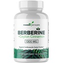 순수한 Berberine 보충교재 - Metabolism & Immune 체계 지원을 위한 Ceylon Cinnamon를 가진 1300mg Berberine - 60의 서빙