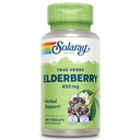 SOLARAY Elderberry Berry & Flower 450mg | 찬달 동안 일반 웰빙 지원 | 플라보노이드 및 페놀 화합물 | 비 GMO | 100ct