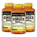 MASON NATURAL 전체 허브 생강 500 mg, 6 개월 공급, 천연 초본 보충, 60 캡슐 (3 팩)