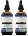 Echinacea 뿌리 USDA 유기 탈옥 | 알콜 자유로운 추출물, 높 순수성 초본 하락, 면역 체계 건강 | 100%에 의하여 증명되는 유기 Echinacea 뿌리 (Echinacea Purpurea) 2x4 oz에게서 만드는