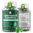 Chlorophyll Gummies - Wheat Grass, Sea Mos, Unfiltered ACV 및 Elderberry, Echinacea, 아연 복합체 및 비타민 D3, C, E, B12 천연 탈취제, 면역 및 소화 지원, 60 Chews