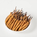 야생 Cordyceps, 전체 히말 얀 Cordyceps Sinensis 버섯, 정품 및 매우 희귀, 고급, 부스트 에너지, 남자와 여자를위한 스트레스 감소, 라임 네팔 Keeda Zadi에서 5 그램 (13 + 17pic)