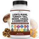 사자 Mane 버섯 보충 터키 꼬리 Reishi Cordyceps Chaga Marshmallow 뿌리 - 1 팩