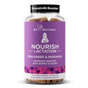 Nourish Lactation 보충교재 - 건강한 우유 교류 & 생산을 위한 Postpartum 지원 - 우유 이틀을 가진 여자를 위한 Fenugreek 캡슐, Fennel씨 & 유기 Moringa, 60 Vegan 연약한 캡슐