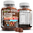 15in1 버섯 Gummies with Lion's Mane Turkey Tail Cordyceps Reishi Chaga Sweet Toot Maitake Meshima Poria Cocos Shiitake Tremella, Oyster Agaricus Mushrooms for Men and Women Supplement Clean Nutra