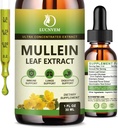 (2개의 팩) 98% 흡수 Mullein는 1개의 Mullein 잎 초본 혼합 추출물, Lungs Cleanse & Detox 및 Respiratory Lung 건강을 위한 자연적인 Lungs 지원 보충교재에 있는 Lungs, 강력한 5를 위해 낙관합니다