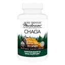 Host Defense Chaga 캡슐 - 면역 체계 지원 보충교재 - Antioxidant 활동 지원을 위한 Chaga 버섯 캡슐 - 규정식 버섯 보충교재 - 120의 캡슐 (60의 서빙) *