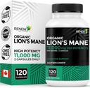 Renew Actives Premium Organic Lion's Mane Mushroom 1100MG per 2 캡슐 - 지원 뇌 기능, 기억, 초점, 스트레스 완화 및 면역 건강, 비 GMO, Vegan - 캐나다 - 120 캡슐