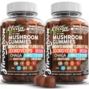 15in1 버섯 Gummies with Lion's Mane 터키 꼬리 Cordyceps Reishi Chaga Sweet Toot Maitake Meshima Poria Cocos Shiitake Tremella, Oyster Agaricus Mushrooms for Men and Women Supplement - 2Pack