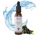 Buried Treasure Lymphatic Harmony Drops - 2oz, 30 서빙, Cleavers, Burdock, Echinacea 및 Astragalus와 림프 보충