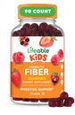 아이를 위한 Lifeable Prebiotic 섬유 Gummies | 키즈 섬유 Gummies 5g | 아이를 위한 중대한 Tasting 섬유 보충교재 | Digestive 건강을 위한 Prebiotic Gummies | 아이들을 위한 섬유 거미 | 90의 Gummies
