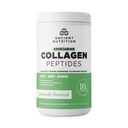 고대 영양 채식 교원질 펩티드, 교원질 펩티드 분말, 자연적인 풍미, Prebiotics 및 Probiotics를 가진 교원질 분말은, 건강한 피부, 머리, 합동, 소화, 28의 서빙을 지원합니다
