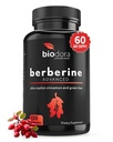 1200mg Berberine - 100mg Ceylon Cinnamon 및 100mg 녹차 추출물 - 복용량 당 1400mg -120 캡슐 - 60 일 공급 - 면역력과 심장 혈관 지원