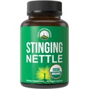 USDA 유기 스팅 Nettle Vegan 캡슐 Prostate, Hair Growth, Allergy에 대한 Sting Nettle Leaf Powder로 제작되었습니다. 뿌리 또는 종자 추출물 보다는 더 나은. 식물 기반 허브 보충 정제, 60 알약