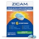 Zicam는 Echinacea와 Sambucus, Homeopathic, 아연, 냉각 Peppermint 풍미, 찬 증상을 가진 도움, 20의 정제를 가진 찬 & 불 같이 증상을 냉각합니다