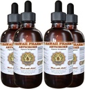 Artichoke 액체 추출물, 유기 Artichoke (Cynara scolymus) Tincture 4x4 oz